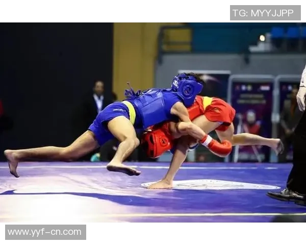 全国功夫散打冠军赛收官 河南队王兴华强势摘冠